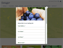 Tablet Screenshot of forager.org.uk
